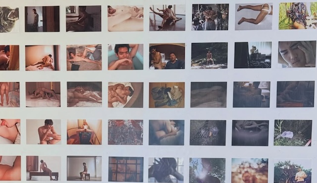 2026年秋冬のクィア・アート展